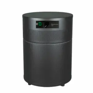 Airpura R400