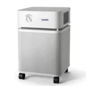 Aunstin air healthmate